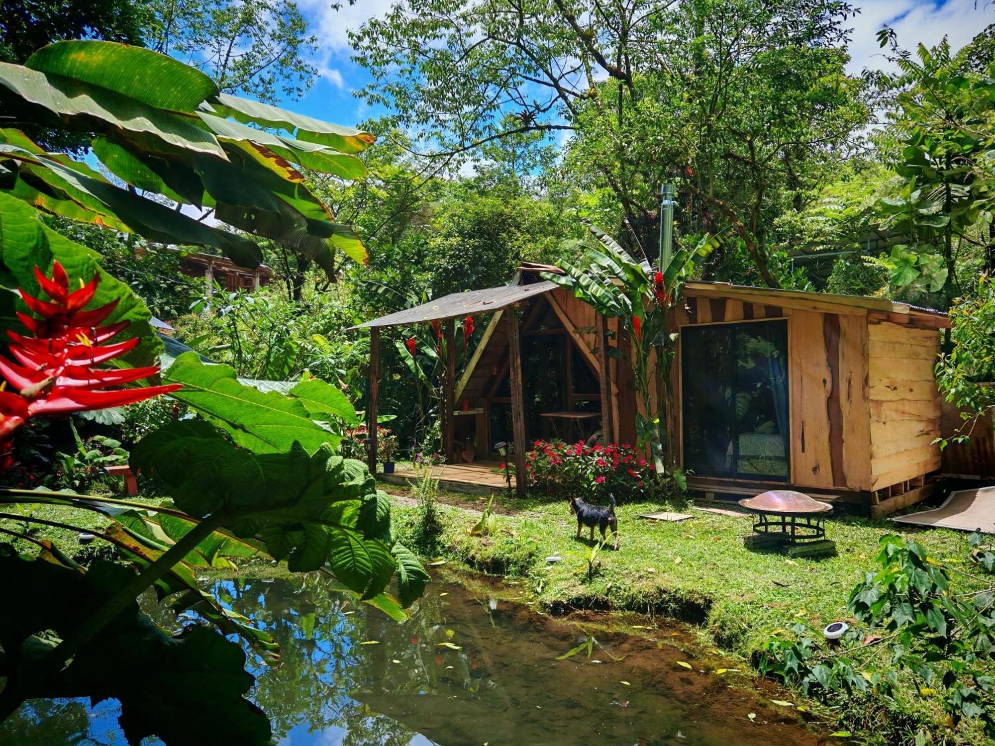 Villa Tipi Maleku à Heredia Extérieur photo